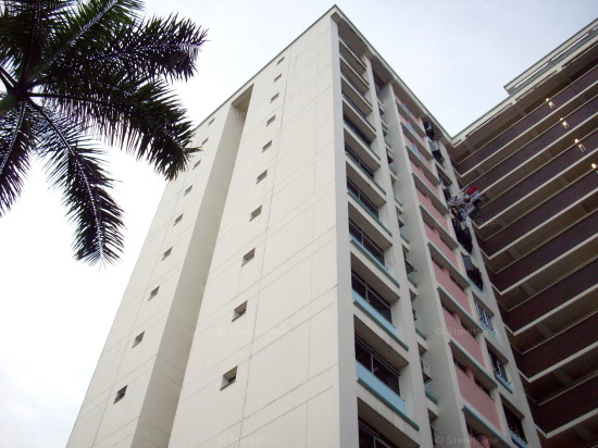 Jurong West Street 81 thumbnail photo